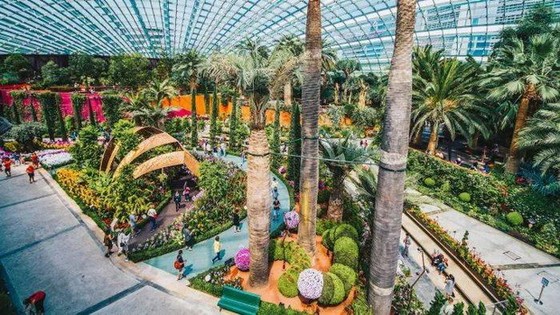新加坡 濱海灣花園 ảnh 1