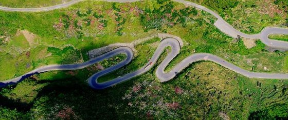 Phim '578: Phát đạn của kẻ điên' – Đáng khen và đáng tiếc ảnh 3