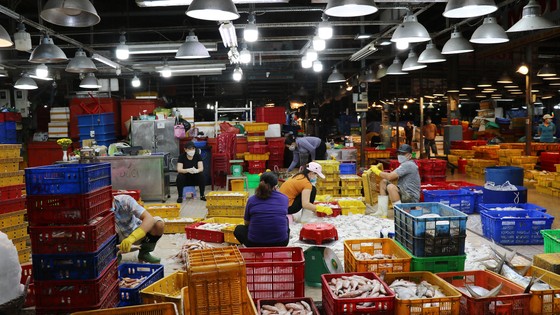 Đêm đầu hoạt động trở lại, chợ Bình Điền   nhập 335 tấn hàng  ​ ảnh 1