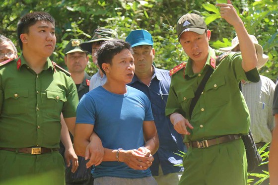 Khởi tố đối tượng chủ mưu phá 10ha rừng thông tại Lâm Đồng ảnh 2