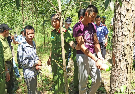 Khởi tố đối tượng chủ mưu phá 10ha rừng thông tại Lâm Đồng ảnh 4