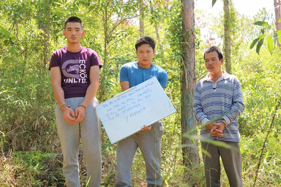Khởi tố đối tượng chủ mưu phá 10ha rừng thông tại Lâm Đồng ảnh 6