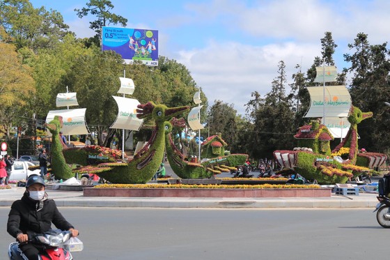 Tiểu cảnh hoa phục vụ Festival hoa Đà Lạt bị trộm ảnh 1
