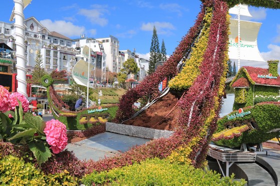 Tiểu cảnh hoa phục vụ Festival hoa Đà Lạt bị trộm ảnh 2