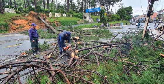 Đà Lạt: Mưa lớn khiến nhiều cây đổ, sạt lở đất gây ách tắc đèo Prenn ảnh 6