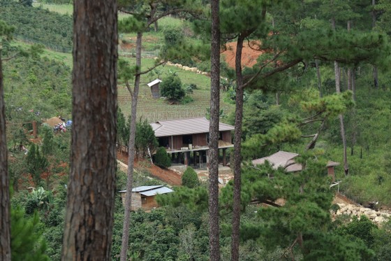 Hàng chục căn nhà xây dựng trái phép giữa đất rừng ở Lâm Đồng ảnh 5