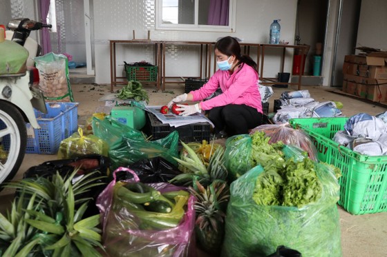 Mỗi ngày Lâm Đồng xuất 4.000 tấn rau, củ đi TPHCM ảnh 2