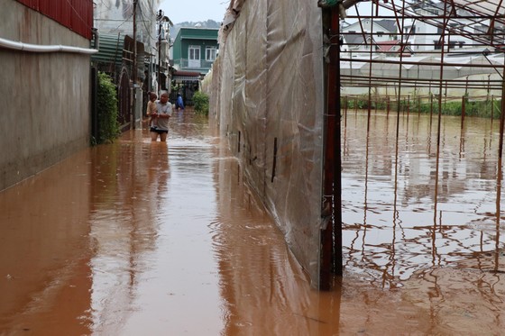 Nhiều nhà dân ở Đà Lạt bị ngập sau trận mưa lớn ảnh 4