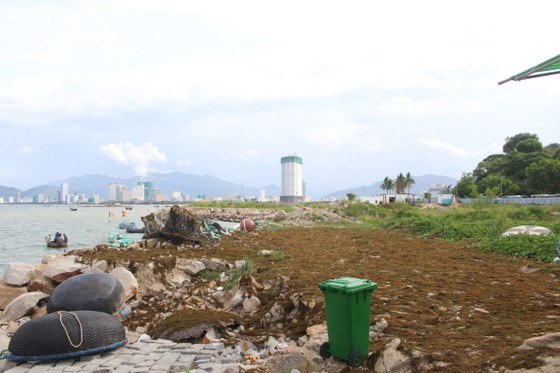 Xem xét thu hồi dự án lấn biển Nha Trang Sao ảnh 1