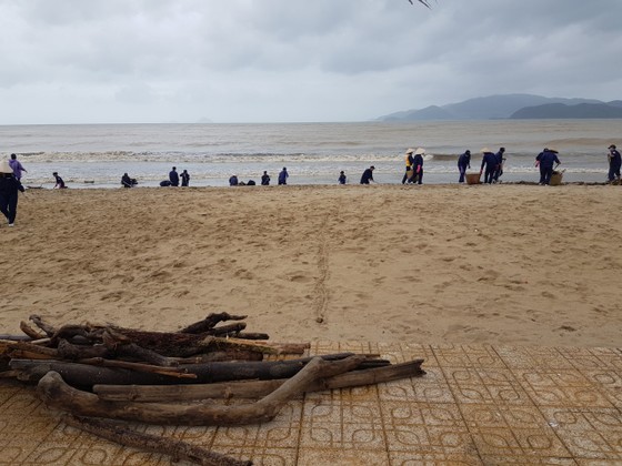 Biển Nha Trang “ngập” rác sau mưa lũ ảnh 6