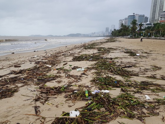 Biển Nha Trang “ngập” rác sau mưa lũ ảnh 1