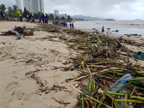 Biển Nha Trang “ngập” rác sau mưa lũ ảnh 3