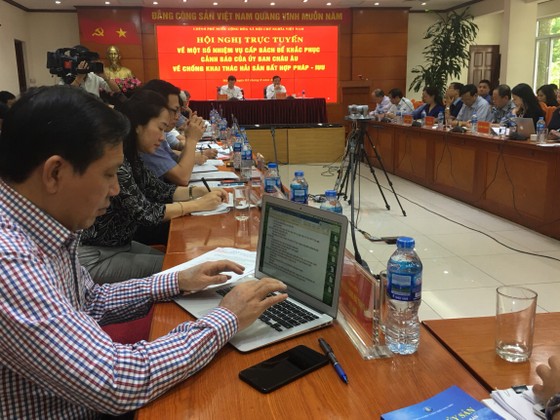 Tháng 1-2019, EU mới xem xét rút “thẻ vàng” cho thủy sản Việt Nam  ảnh 1
