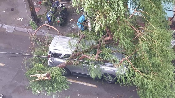 Tâm bão số 4 đã đổ bộ vào Quảng Bình - Quảng Trị? ảnh 6
