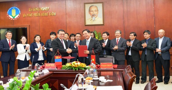 Đề xuất mở đường bay thẳng Việt Nam - Mông Cổ ảnh 1
