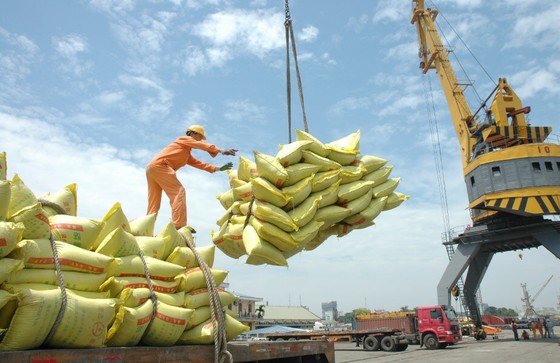 Điều tra các doanh nghiệp khai khống gạo để 'giữ chỗ' ảnh 1