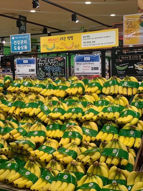 Chuối Việt Nam được bán trong siêu thị Lotte Mart tại Hàn Quốc ảnh 2