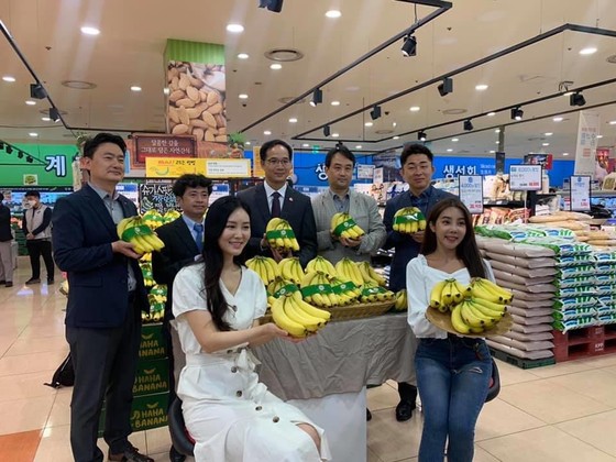 Chuối Việt Nam được bán trong siêu thị Lotte Mart tại Hàn Quốc ảnh 1
