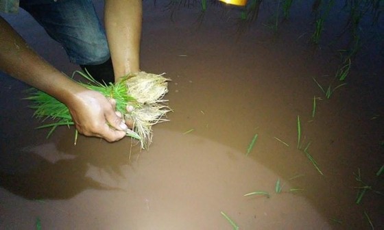 Nắng nóng vẫn chưa chịu “lui” ảnh 2