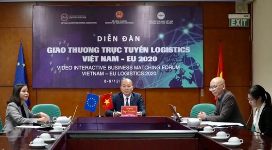 Doanh nghiệp Việt Nam và EU kết nối logistics ảnh 1