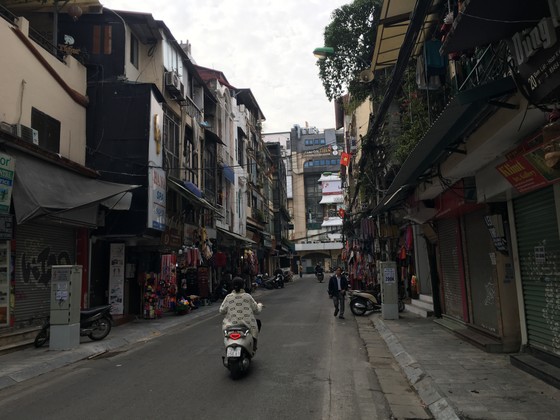 Đào, quất miền Bắc ế ẩm ảnh 6