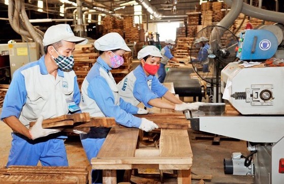 Lâm sản Việt Nam xuất siêu trên 3 tỷ USD ảnh 1
