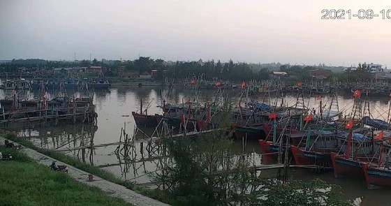 Đang tìm 3 tàu của tỉnh Thanh Hóa bị mất liên lạc ảnh 2