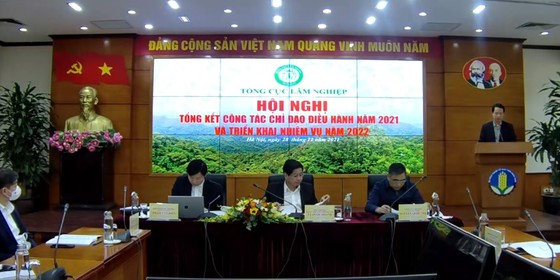 Năm 2021, Việt Nam xuất siêu 13 tỷ USD nhờ lâm sản ảnh 1