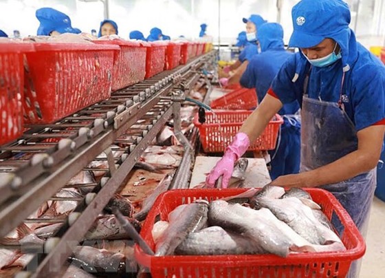 Tiếp tục gia tăng xuất khẩu thủy sản Việt Nam sang EU ảnh 1