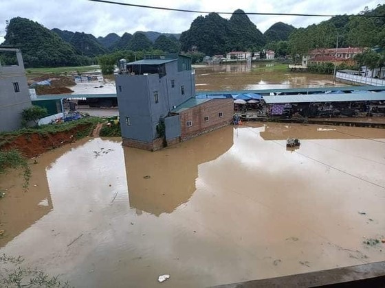 3 người bị sét đánh tử vong trong cơn mưa dông ở Thái Bình ảnh 1