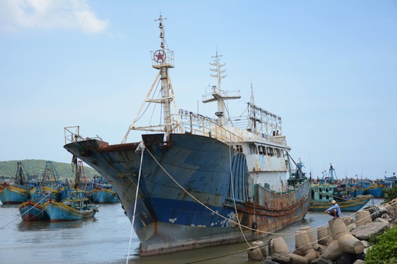 Bán đấu giá “con tàu ma” dạt vào biển Bình Thuận ảnh 1