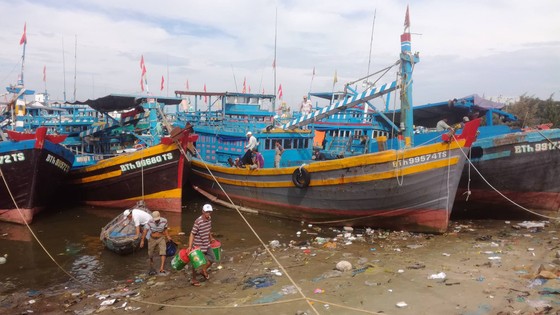 Ngư dân Bình Thuận tất bật chuẩn bị ra khơi sau bão ảnh 3