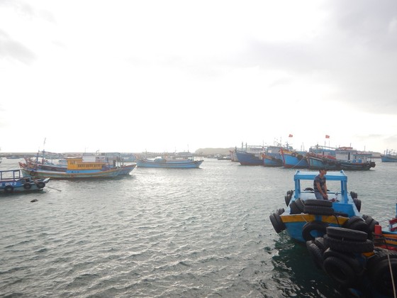 Khẩn cấp cứu hộ 15 thuyền viên tàu Panama gặp nạn trên vùng biển Phú Quý ảnh 1