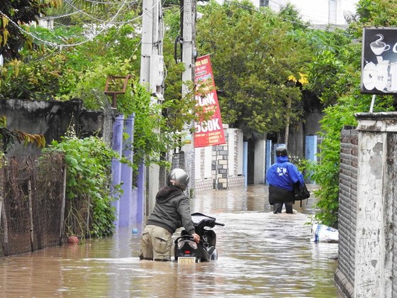 Hàng trăm ngôi nhà ở Ninh Thuận ngập trong biển nước ảnh 2