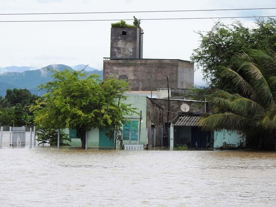 Hàng trăm ngôi nhà ở Ninh Thuận ngập trong biển nước ảnh 1