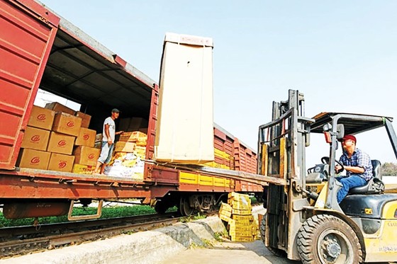 Cơ hội cho vận tải đường sắt ảnh 1