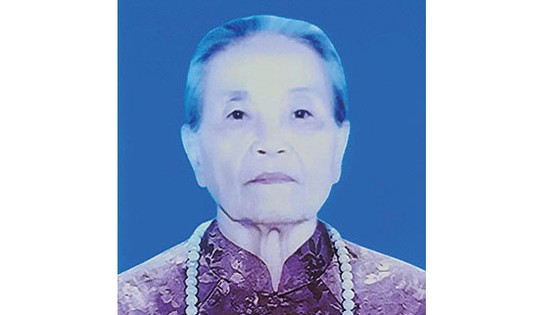TIN BUỒN Bà mẹ Việt Nam anh hùng NGUYỄN THỊ ĐÀ ảnh 1