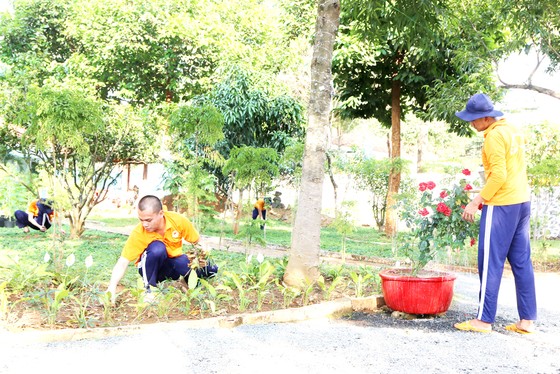 Xuân ấm ở các cơ sở cai nghiện ảnh 1