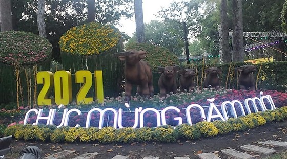 Khai mạc Hội Hoa xuân Tết Tân Sửu 2021 tại Công viên Văn hóa Tao Đàn ảnh 1