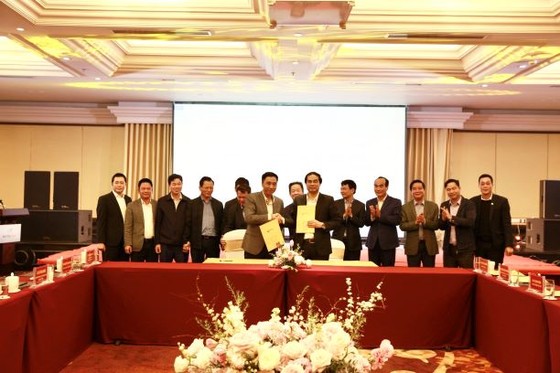 Tập đoàn T&T GROUP hợp tác chiến lược với 2 tỉnh Lào Cai và Cà Mau ảnh 3