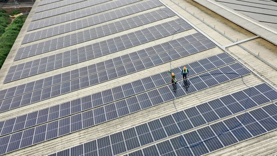 TH tạo nguồn năng lượng xanh từ mái nhà trang trại công nghệ cao đạt kỷ lục thế giới ảnh 1