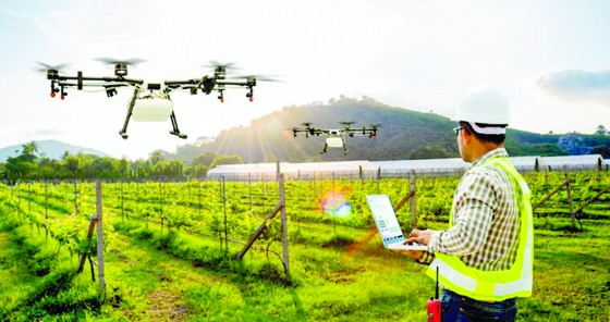 Đất nhiễm mặn: Mối đe dọa của toàn cầu ảnh 1