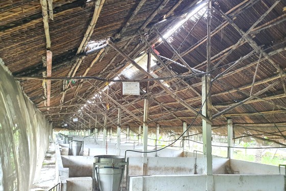 Thí điểm xây dựng công trình phục vụ sản xuất nông nghiệp: Người dân vẫn gặp khó ảnh 1