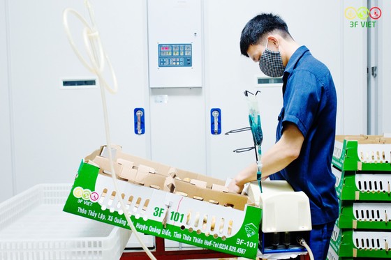 Triển vọng phục hồi ngành thực phẩm, đồ uống ảnh 1