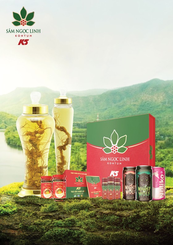 Sâm Ngọc Linh Kon Tum K5 - Sản phẩm chăm sóc sức khỏe từ thiên nhiên ảnh 3