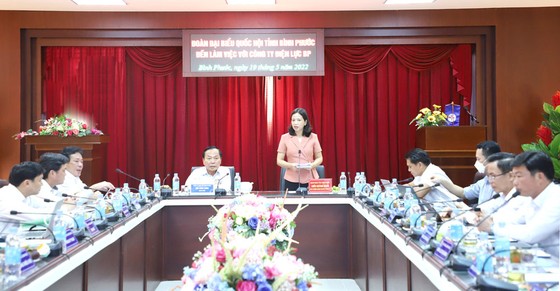 Tổng công ty Điện lực Miền nam (EVNSPC): Nhiều nỗ lực hiệu quả trong công tác cung ứng điện ảnh 1