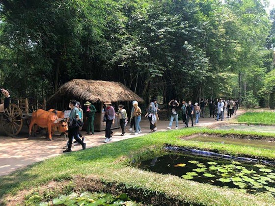TPHCM tìm giải pháp phát triển du lịch y tế ảnh 1