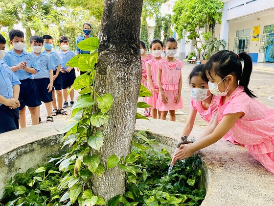 Lan tỏa mô hình 'Trường học xanh' ảnh 1