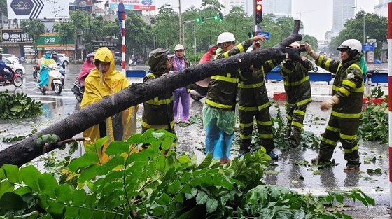 Hà Nội ngập lụt, cây đổ, sạt lở đê do ảnh hưởng bão số 3 ảnh 6