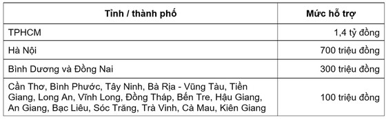 Chiến dịch 'Kết nối cộng đồng - Vượt qua thách thức' hỗ trợ người có hoàn cảnh khó khăn trong dịch Covid-19 ảnh 1